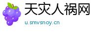 天灾人祸网